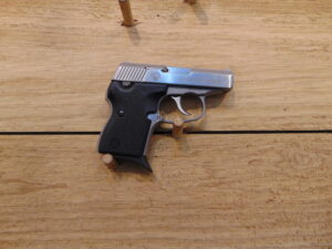 NAA Guardian .380ACP