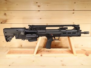 Springfield Hellion 5.56