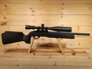 RUGER 10/22 22 LR [CLEARANCE]
