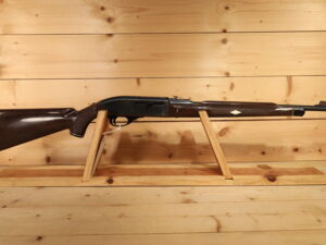REMINGTON Nylon 66 22LR [CLEARANCE]