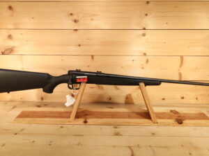 SAVAGE ARMS B17 17WSM