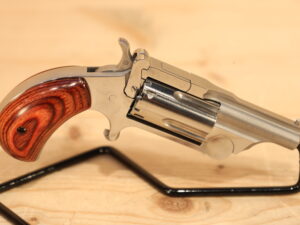 NAA R2 22 Magnum