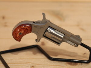 NAA Mini Revolver 22LR