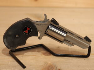 NAA Black Widow 22WMR