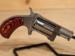 NAA Sidewinder 22LR/22WMR