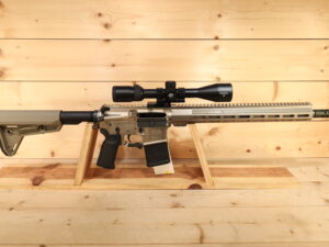 WMD Guns The Beast 300BLK