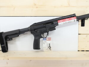 Patriot Ordnance Factory Rebel 22LR