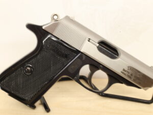 Walther/S&W PPK/S 380 ACP