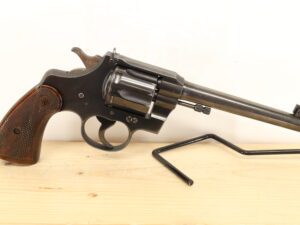 COLT Officers Model target  22 LR